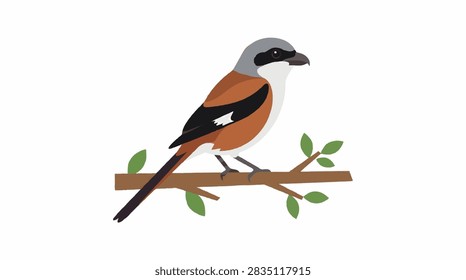A small bird resting on a textured tree branch in a natural forest setting with soft daylight.