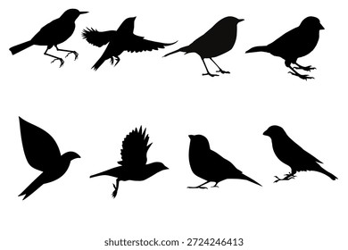 Kleine Vogel-Silhouette-Set einzeln auf weißem Hintergrund für Tierwelt Natur und minimales Design.