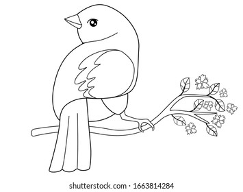 A small bird sits on a flowering spring branch. Vector linear picture for coloring. Outline. Spring has come - a bird has arrived and is sitting on a flowering tree.