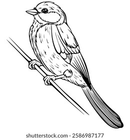 Small bird sitting on branch side view. Vector illustrations in hand drawn sketch style isolated on white. Black outline animal graphic. Design for coloring book page, print