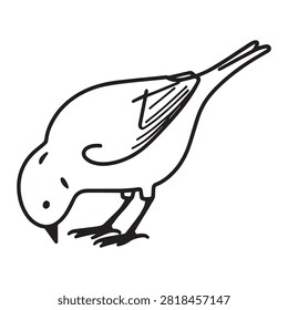 Small bird sketch, feeding position vector illustration, minimalist animal outline art, nature wildlife drawing style.
