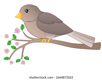 Un pájaro pequeño - un gorrión se sienta en una rama florida - una imagen vectorial de resorte de color completo. Un pájaro bonito marrón gris en una rama con hojas jóvenes y flores rosas