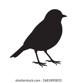 A small bird standing on its legs silhouette
