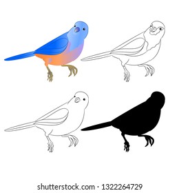 Small bird Thrush Bluebird outline nature and silhouette on a white background vintage vector illustration editable hand draw