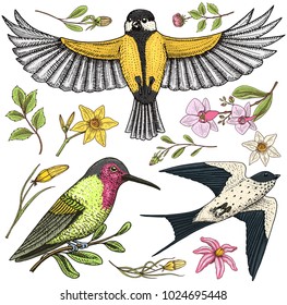 Small birds of barn swallow or martlet and parus or titmouse, Rufous. daffodil and orchid with leaves and Roses buds. Wedding flowers in spring garden. Exotic tropical animal. engraved hand drawn.