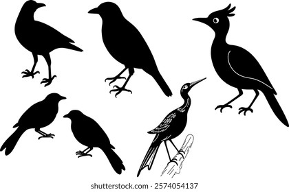 Small birds silhouette drawign artword design elements