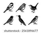 Small Birds Silhouette vector Collection