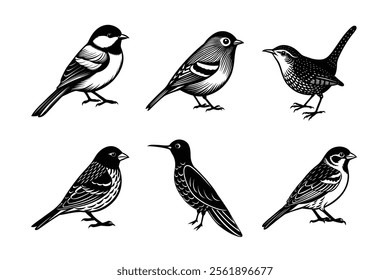 Small Birds Silhouette vector Collection