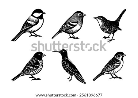 Small Birds Silhouette vector Collection