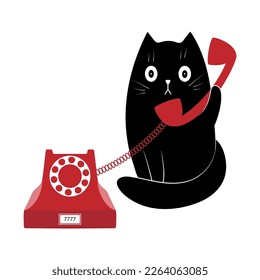 A small black kitten uses a telephone connection.