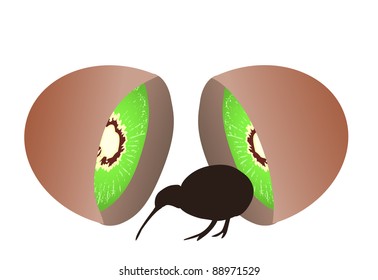 Small black kiwi bird coming from kiwi fruit, flightless bird, symbol of New Zealand