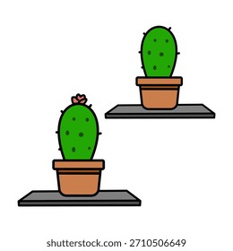 Pequeño cactus floreciente en el estante