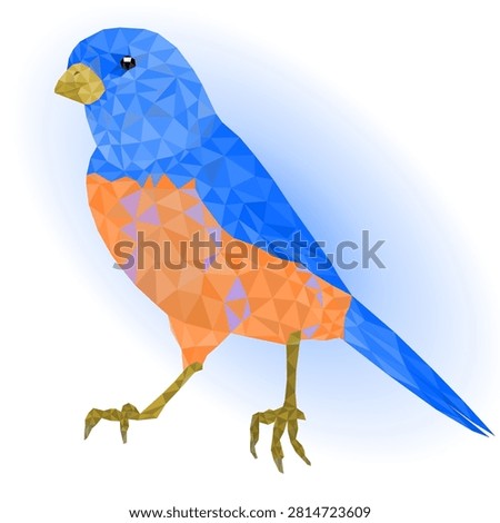 Small  blue bird thrush  on a blue background   low-polygon  outline vector illustration editable hand draw