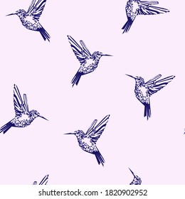 Pájaros azules pequeños sobre un fondo ligeramente rosa Colibri.Ilustración de contorno