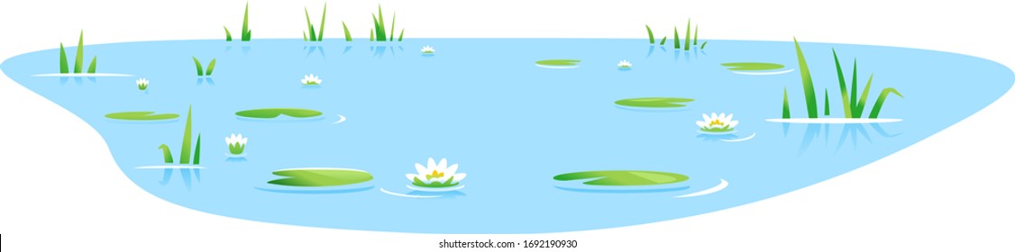 Small blue decorative pond with bulrush plants and white water lilies isolated, lake plants nature landscape fishing place, decorative pond in landscape design garden