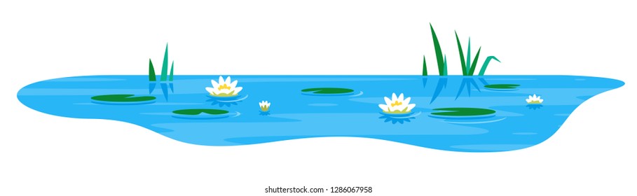 Small blue decorative pond with white water lily and bulrush plants, isolated on white, lake plants nature landscape fishing place