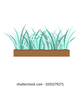 small blue grass fresh on ground white background vector