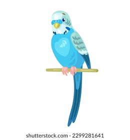 Small blue parrot sits on a stick. In cartoon style. Isolated on white background. Vector flat illustration