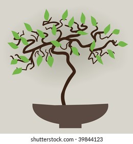 Small bonsai tree background. Vector illustration.