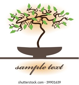 Small bonsai tree background. Vector illustration.