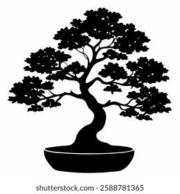 A small bonsai tree silhouette on white background