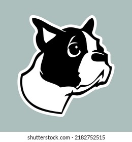 Small boston terrier as sticker for web design or design accessories. Little cute puppy as sticker for design websites, clothes, logo, icons, signs, applications or social network communication. 