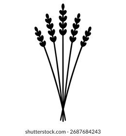a small bouquet of lavender stems in minimal vector
