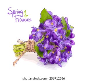 Small bouquet with meadow violets. Vector illustration.