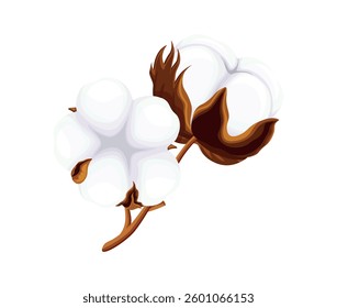 Small branch of cotton in cartoon style. Vector illustration of a branch with fluffy cotton buds, stems isolated on white background. Flower plants. Natural dried flowers. Textile fiber. Floristry.