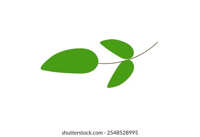 Una rama Pequeña es verde sobre un fondo blanco
