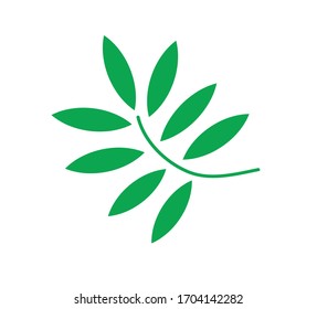 small branch with leaves vector illustration