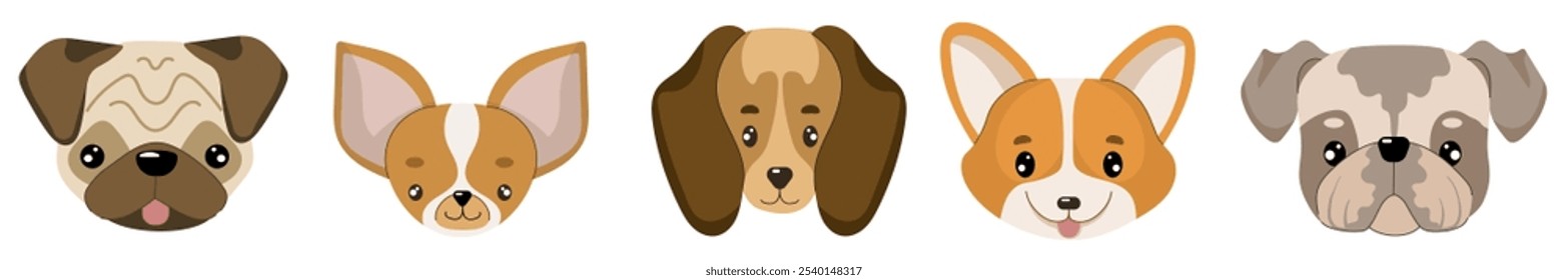 Small breed  dog faces collection. Vector illustration of dogs in flat style. Isolated illustrations set on white