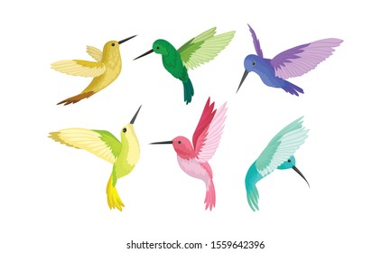 Small Bright Colorful Hummingbirds Flying And Sitting Vector Illustration Set