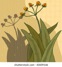 Small bright orange flowers on large leaves with a shadow in the background