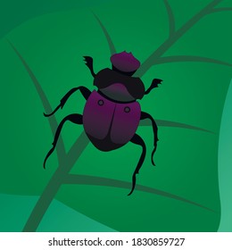Small bright purple beetle on a yellow leaf with a green background