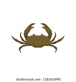 Small brown crab with big claws. Marine animal. Sea creature. Flat vector element for mobile game or cafe menu