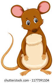 Small brown rat white background illustration