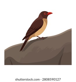 Small brown wild bird perched on a rock isolated on white background vector set.