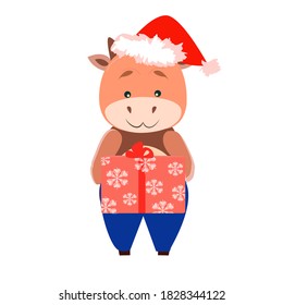 A small bull in a cap holds a large gift in front of him