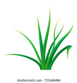 Small bunch grass icon. Realistic illustration of small bunch grass vector icon for web design isolated on white background