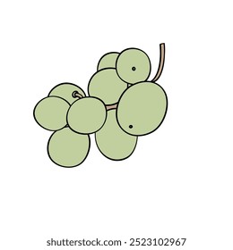 a small bunch of green grapes