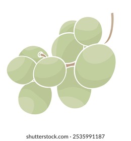 a small bunch of green grapes