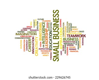 small business strategy in 2015 concept word cloud