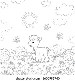 Small butterflies flitting around flowers and a cute little limb walking on grass of a pretty summer field on a beautiful sunny day, black and white vector cartoon illustration