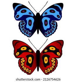 Small butterflies vector set, drawing butterfly, black and colorful summer aesthetic butterfly isolated on white background.
