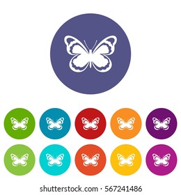 Small butterfly set icons in different colors isolated on white background