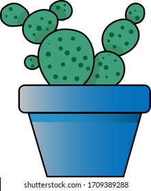 small cactus in a pot