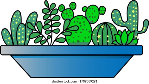 small cactus in a pot