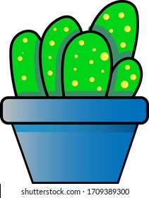 small cactus in a pot