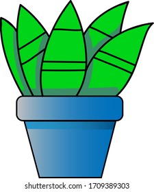 small cactus in a pot